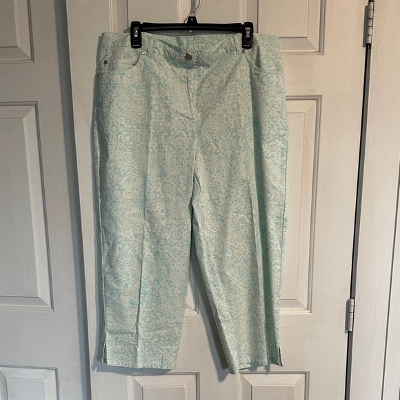 Ruby Rd cropped pants size 16W - Picture 1 of 5